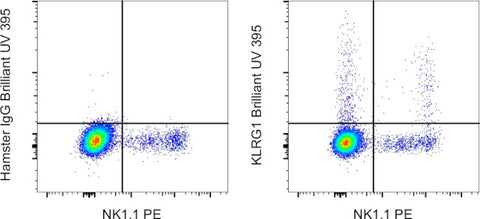 KLRG1 Monoclonal Antibody (2F1), Brilliant Ultra Violet 395, eBioscience