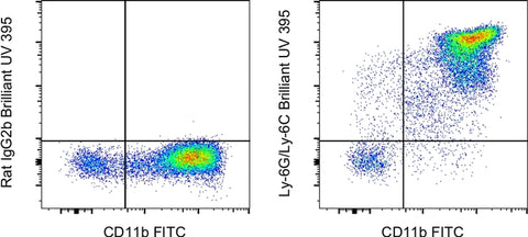 Ly-6G/Ly-6C Monoclonal Antibody (RB6-8C5), Brilliant Ultra Violet 395, eBioscience