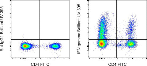 IFN gamma Monoclonal Antibody (XMG1.2), Brilliant Ultra Violet 395, eBioscience
