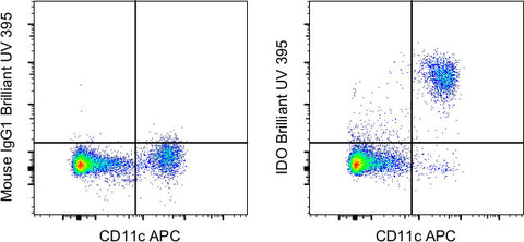 IDO Monoclonal Antibody (eyedio), Brilliant Ultra Violet 395, eBioscience