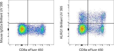 KLRG1 Monoclonal Antibody (13F12F2), Brilliant Ultra Violet 395, eBioscience