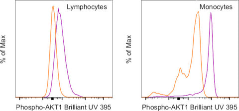 Phospho-AKT1 (Ser473) Monoclonal Antibody (SDRNR), Brilliant Ultra Violet 395, eBioscience