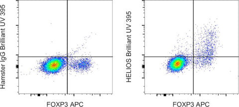 HELIOS Monoclonal Antibody (22F6), Brilliant Ultra Violet™ 395