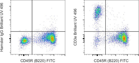 CD3e Monoclonal Antibody (145-2C11), Brilliant Ultra Violet 496, eBioscience