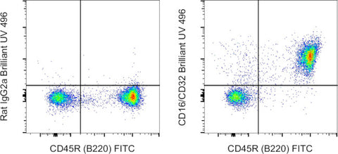 CD16/CD32 Monoclonal Antibody (93), Brilliant Ultra Violet 496, eBioscience