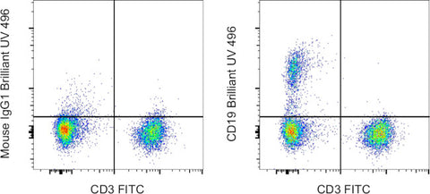 CD19 Monoclonal Antibody (SJ25C1), Brilliant Ultra Violet 496, eBioscience