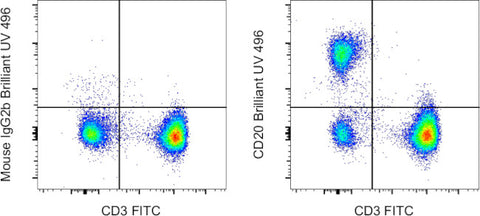 CD20 Monoclonal Antibody (2H7), Brilliant Ultra Violet 496, eBioscience