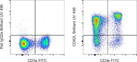 CD62L (L-Selectin) Monoclonal Antibody (MEL-14), Brilliant Ultra Violet 496, eBioscience
