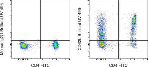 CD62L (L-Selectin) Monoclonal Antibody (DREG-56 (DREG56)), Brilliant Ultra Violet 496, eBioscience