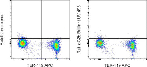 Rat IgG2b kappa Isotype Control (eB149/10H5), Brilliant Ultra Violet 496, eBioscience