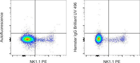 Syrian Hamster IgG Isotype Control, Brilliant Ultra Violet 496, eBioscience