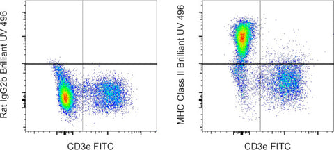 MHC Class II (I-A/I-E) Monoclonal Antibody (M5/114.15.2), Brilliant Ultra Violet 496, eBioscience