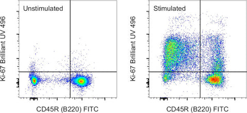 Ki-67 Monoclonal Antibody (SolA15), Brilliant Ultra Violet 496, eBioscience