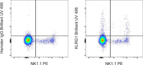 KLRG1 Monoclonal Antibody (2F1), Brilliant Ultra Violet 496, eBioscience