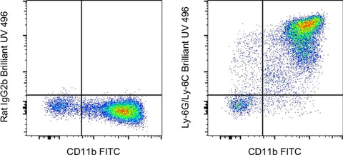 Ly-6G/Ly-6C Monoclonal Antibody (RB6-8C5), Brilliant Ultra Violet 496, eBioscience