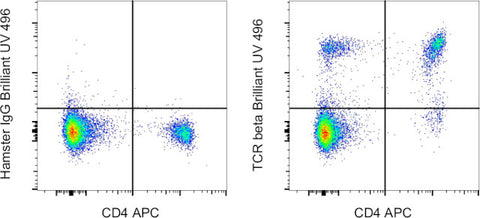 TCR beta Monoclonal Antibody (H57-597), Brilliant Ultra Violet 496, eBioscience