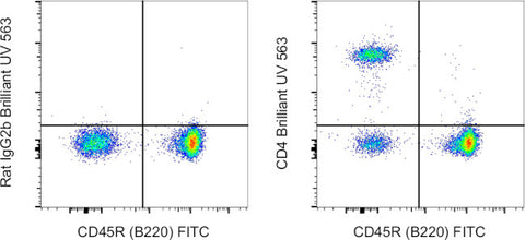 CD4 Monoclonal Antibody (GK1.5), Brilliant Ultra Violet 563, eBioscience