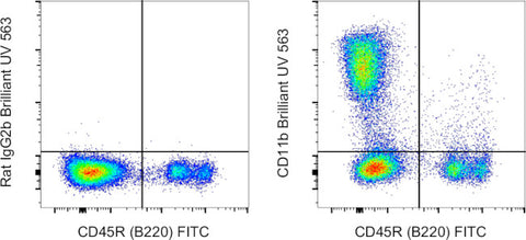 CD11b Monoclonal Antibody (M1/70), Brilliant Ultra Violet 563, eBioscience