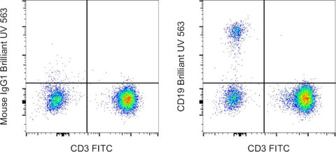 CD19 Monoclonal Antibody (HIB19), Brilliant Ultra Violet 563, eBioscience