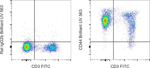 CD44 Monoclonal Antibody (IM7), Brilliant Ultra Violet 563, eBioscience