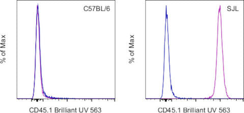 CD45.1 Monoclonal Antibody (A20), Brilliant Ultra Violet 563, eBioscience