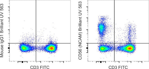 CD56 (NCAM) Monoclonal Antibody (TULY56), Brilliant Ultra Violet 563, eBioscience