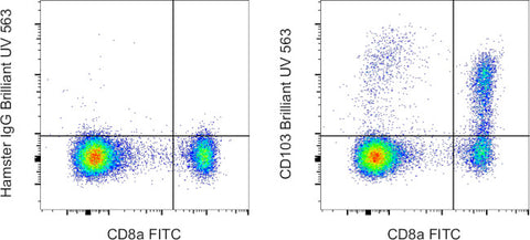 CD103 (Integrin alpha E) Monoclonal Antibody (2E7), Brilliant Ultra Violet 563, eBioscience