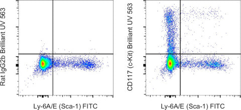 CD117 (c-Kit) Monoclonal Antibody (2B8), Brilliant Ultra Violet 563, eBioscience