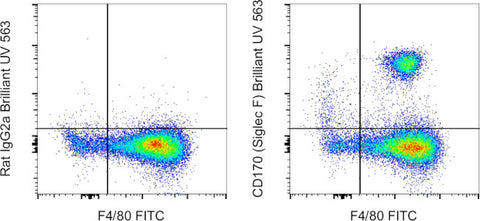 CD170 (Siglec F) Monoclonal Antibody (1RNM44N), Brilliant Ultra Violet 563, eBioscience