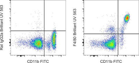 F4/80 Monoclonal Antibody (BM8), Brilliant Ultra Violet 563, eBioscience