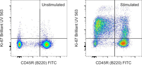 Ki-67 Monoclonal Antibody (SolA15), Brilliant Ultra Violet 563, eBioscience