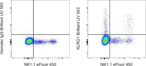 KLRG1 Monoclonal Antibody (2F1), Brilliant Ultra Violet 563, eBioscience