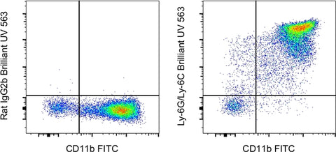 Ly-6G/Ly-6C Monoclonal Antibody (RB6-8C5), Brilliant Ultra Violet 563, eBioscience