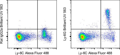 Ly-6G Monoclonal Antibody (1A8-Ly6g), Brilliant Ultra Violet 563, eBioscience
