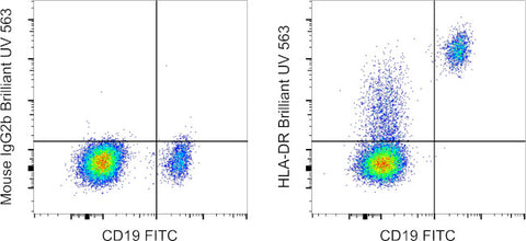 HLA-DR Monoclonal Antibody (LN3), Brilliant Ultra Violet 563, eBioscience