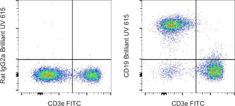 CD19 Monoclonal Antibody (eBio1D3 (1D3)), Brilliant Ultra Violet 615, eBioscience