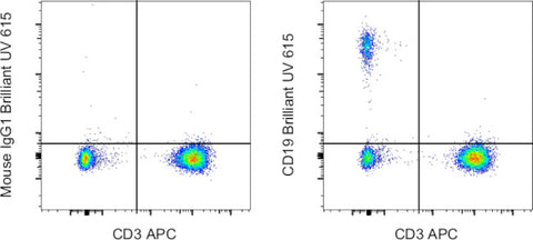 CD19 Monoclonal Antibody (SJ25C1), Brilliant Ultra Violet 615, eBioscience