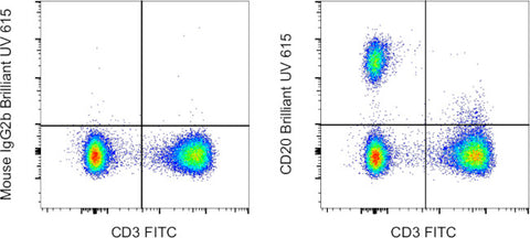 CD20 Monoclonal Antibody (2H7), Brilliant Ultra Violet 615, eBioscience