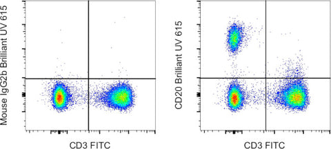 CD20 Monoclonal Antibody (2H7), Brilliant Ultra Violet™ 615