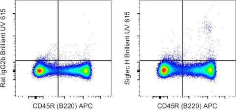 SIGLEC H Monoclonal Antibody (eBio440c), Brilliant Ultra Violet 615, eBioscience