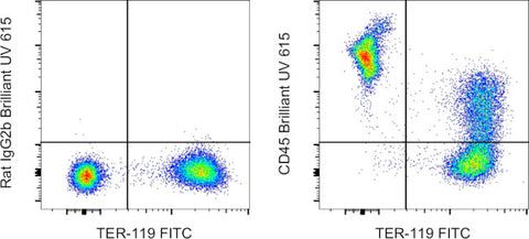 CD45 Monoclonal Antibody (30-F11), Brilliant Ultra Violet 615, eBioscience