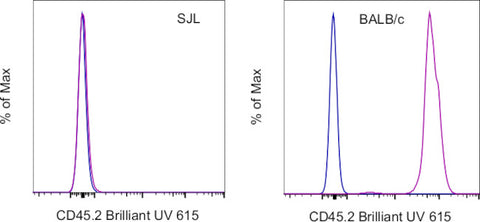 CD45.2 Monoclonal Antibody (104), Brilliant Ultra Violet 615, eBioscience