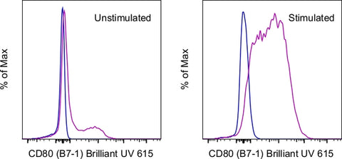 CD80 (B7-1) Monoclonal Antibody (16-10A1), Brilliant Ultra Violet 615, eBioscience