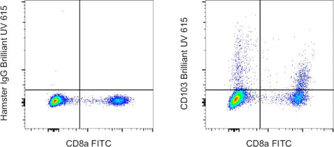 CD103 (Integrin alpha E) Monoclonal Antibody (2E7), Brilliant Ultra Violet 615, eBioscience