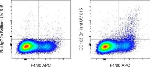 CD163 Monoclonal Antibody (TNKUPJ), Brilliant Ultra Violet 615, eBioscience