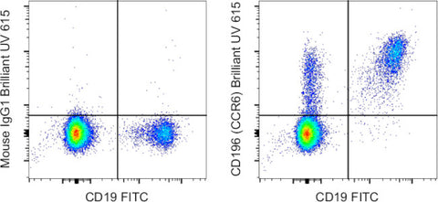 CD196 (CCR6) Monoclonal Antibody (R6H1), Brilliant Ultra Violet 615, eBioscience