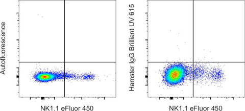 Syrian Hamster IgG Polyclonal, Brilliant Ultra Violet 615, eBioscience