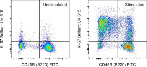 Ki-67 Monoclonal Antibody (SolA15), Brilliant Ultra Violet 615, eBioscience