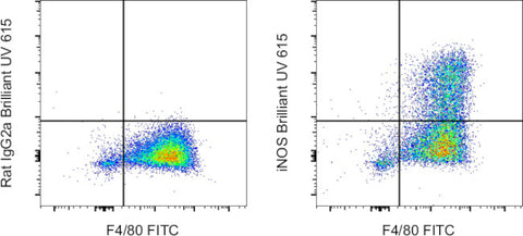 iNOS Monoclonal Antibody (CXNFT), Brilliant Ultra Violet™ 615