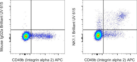NK1.1 Monoclonal Antibody (PK136), Brilliant Ultra Violet 615, eBioscience